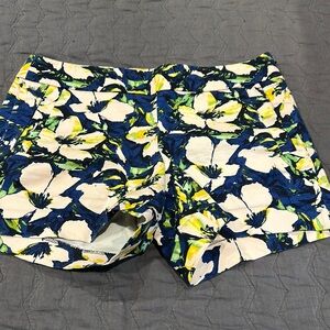 J Crew Shorts